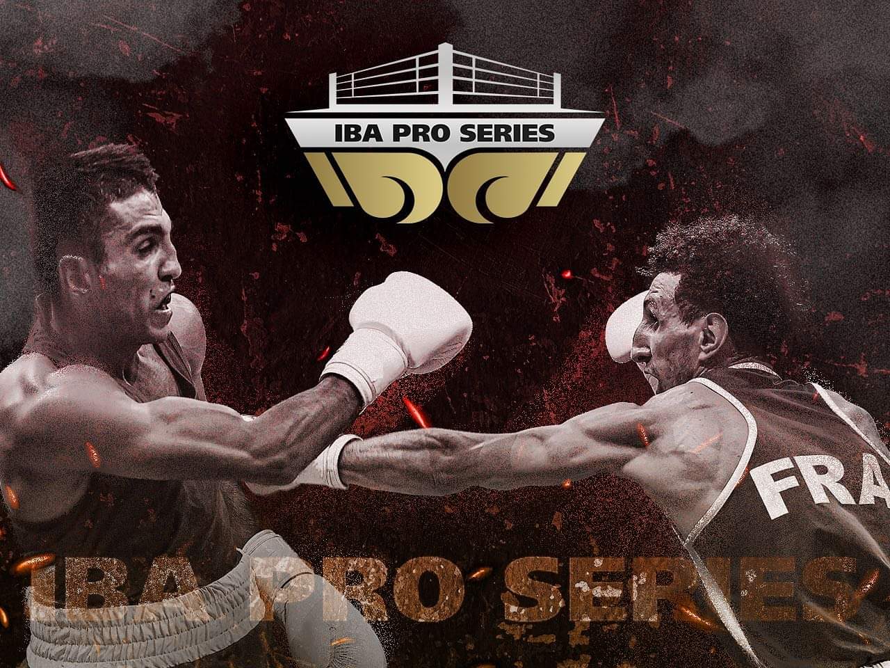 NOVO! IBA Pro Series